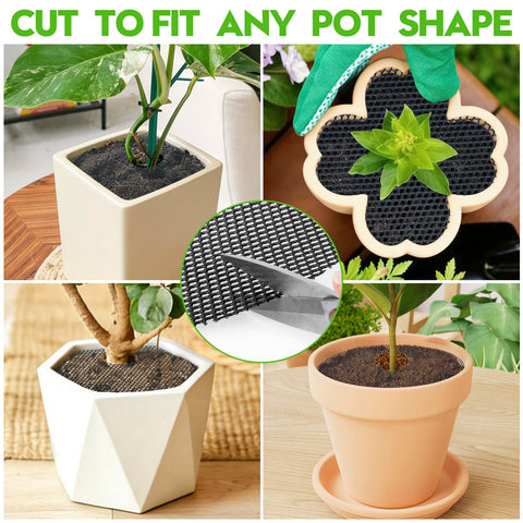 phepetroll six-pack grid supports neat indoor and outdoor plant care