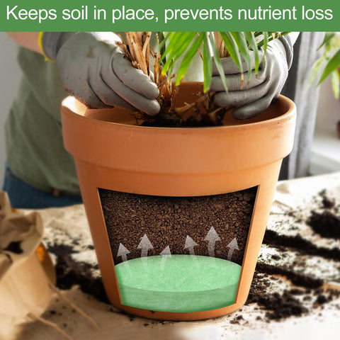 Phepetroll eco-friendly planter material supports sustainable watering routine.