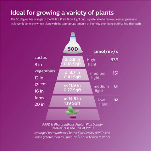 Beam angle 50 degrees provides even coverage across the plant canopy