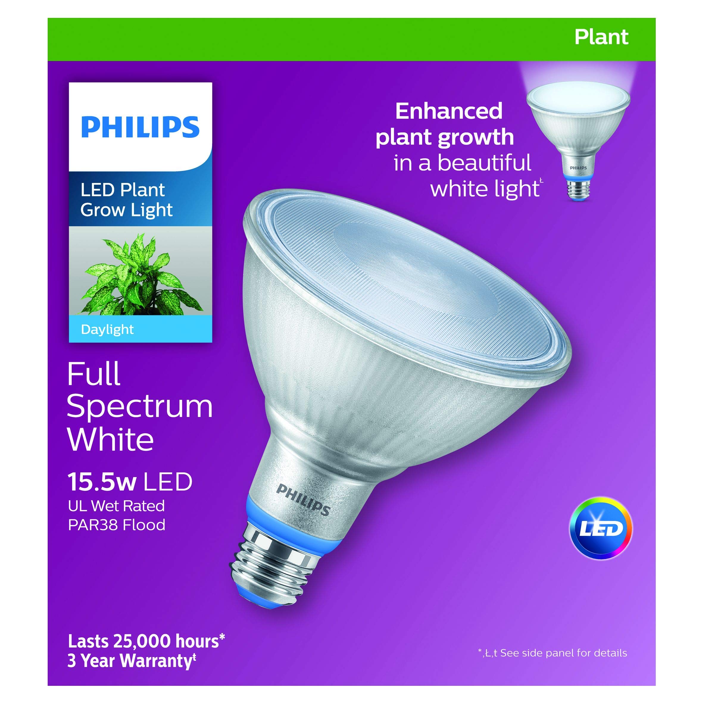 Seedlings under Philips PAR38 full-spectrum grow light encourage robust growth and vibrant foliage
