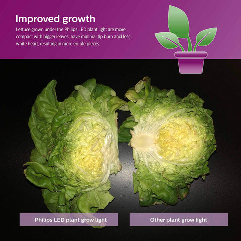 No plastic packaging emphasizes eco-conscious packaging and Title 20 compliance