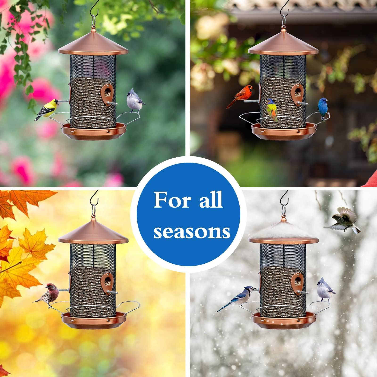 Philodwell easy fill and clean bird feeder design