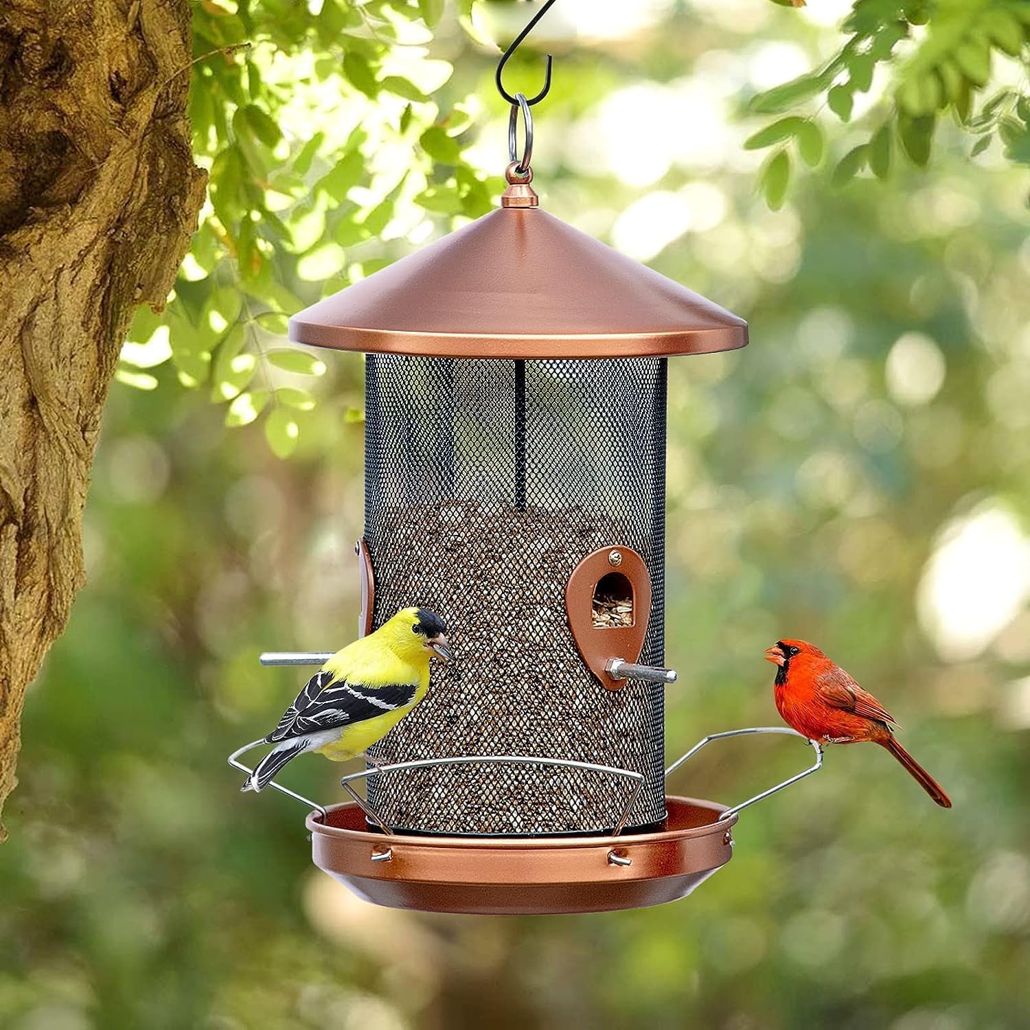 Philodwell bird feeder makes a thoughtful gift for bird lovers