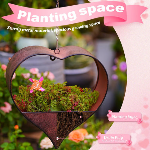 Philodwell gift-box packaging elevates a thoughtful plant gift.