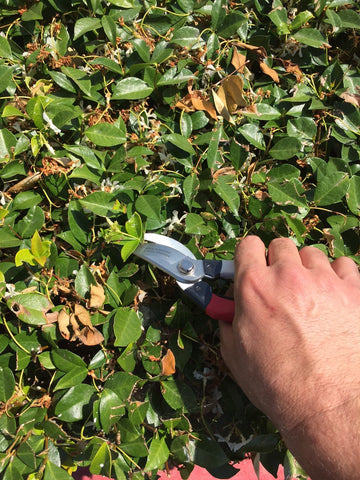 Phoenix Tools safety clip engaged shows blades stored safely.