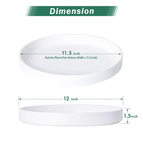 Phoenix Vine 12-inch saucer with deeper tray design supports efficient bottom watering.