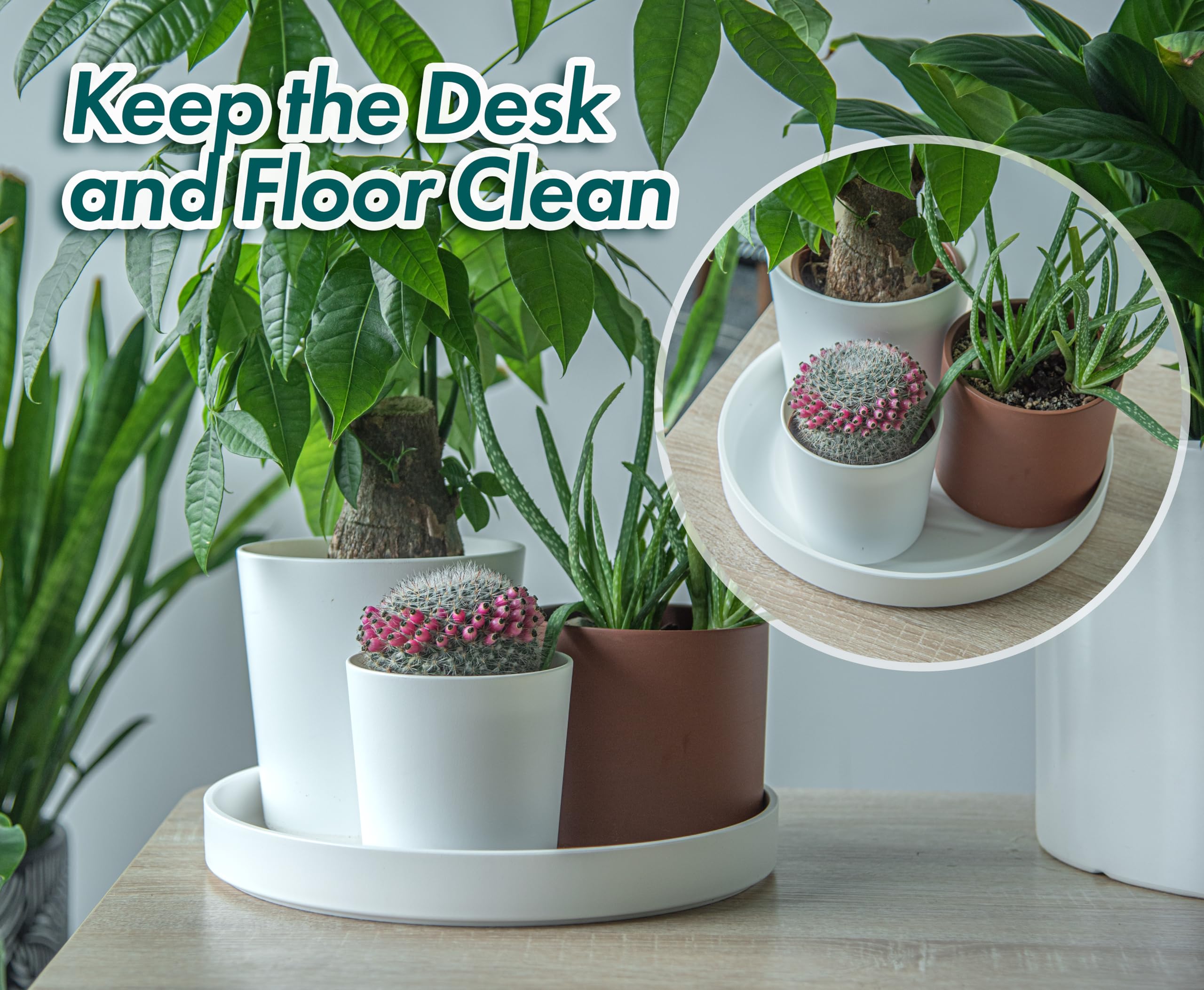 Phoenix Vine 12-inch saucer in indoor-outdoor use keeps surfaces protected.