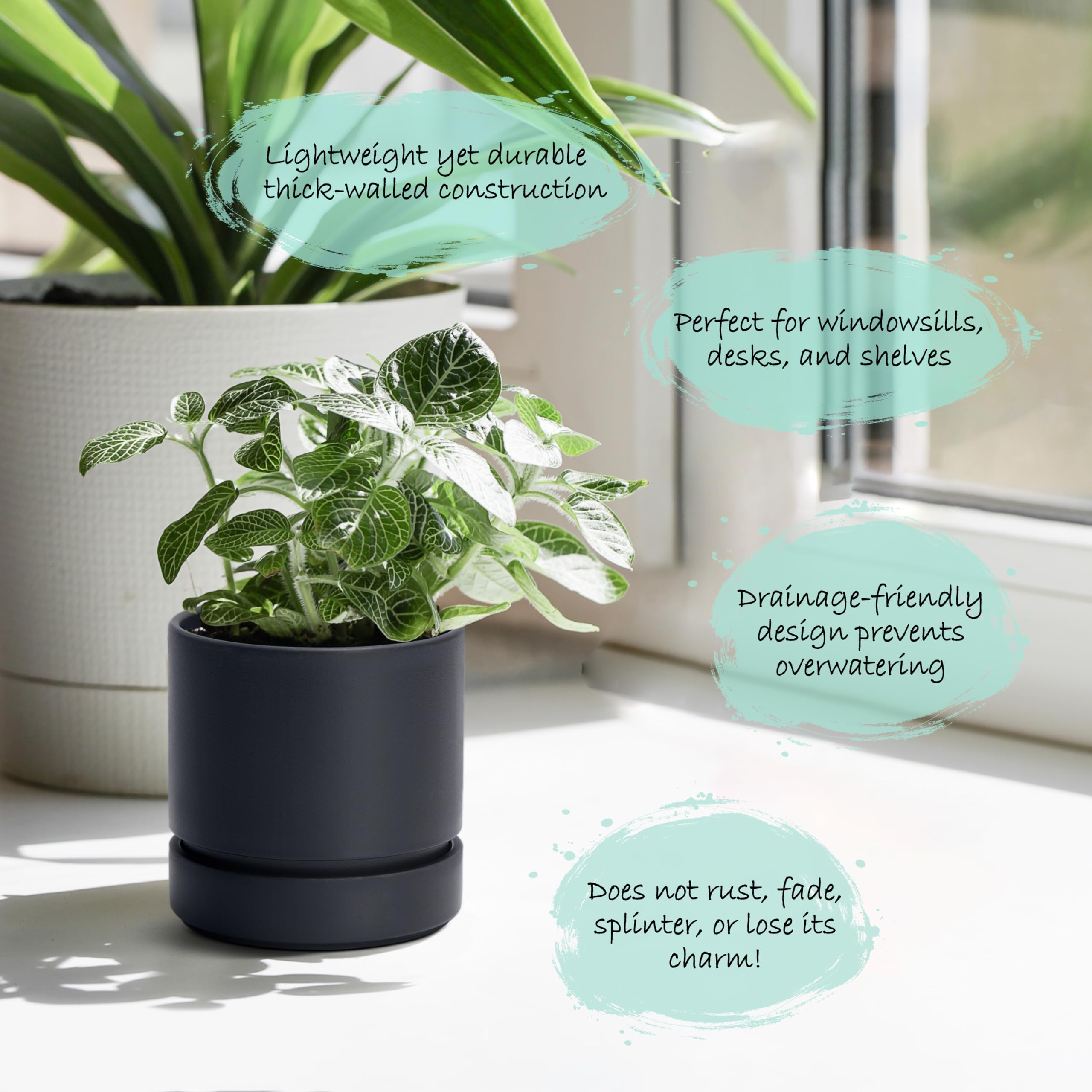 Phoenix Vine 4-inch desktop pot keeps small herbs neatly contained on countertops.