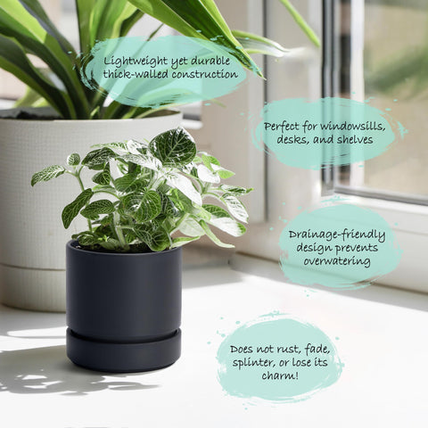 Phoenix Vine 4-inch desktop pot keeps small herbs neatly contained on countertops.