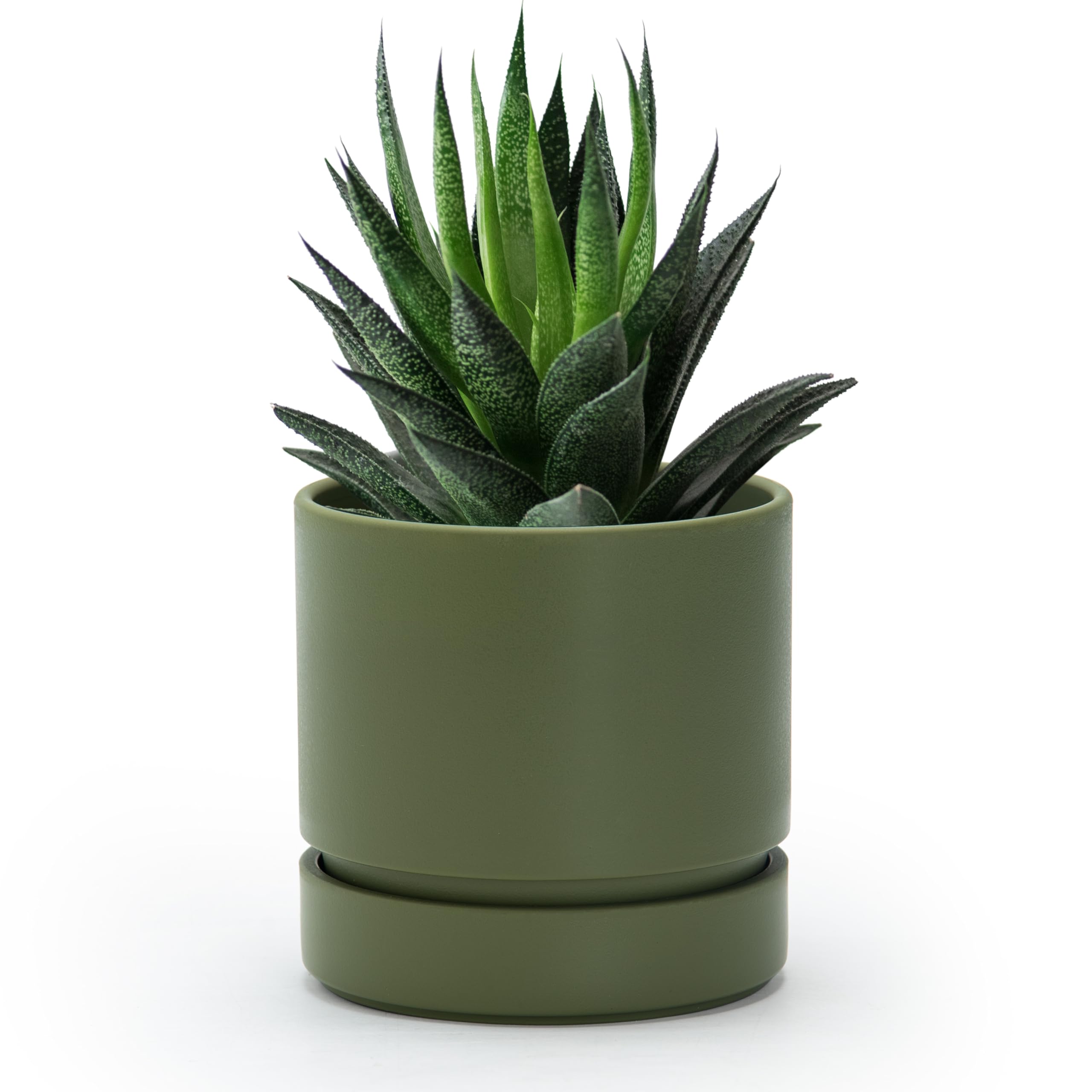 Phoenix Vine 4-inch olive planter front view with drainage hole for healthy watering