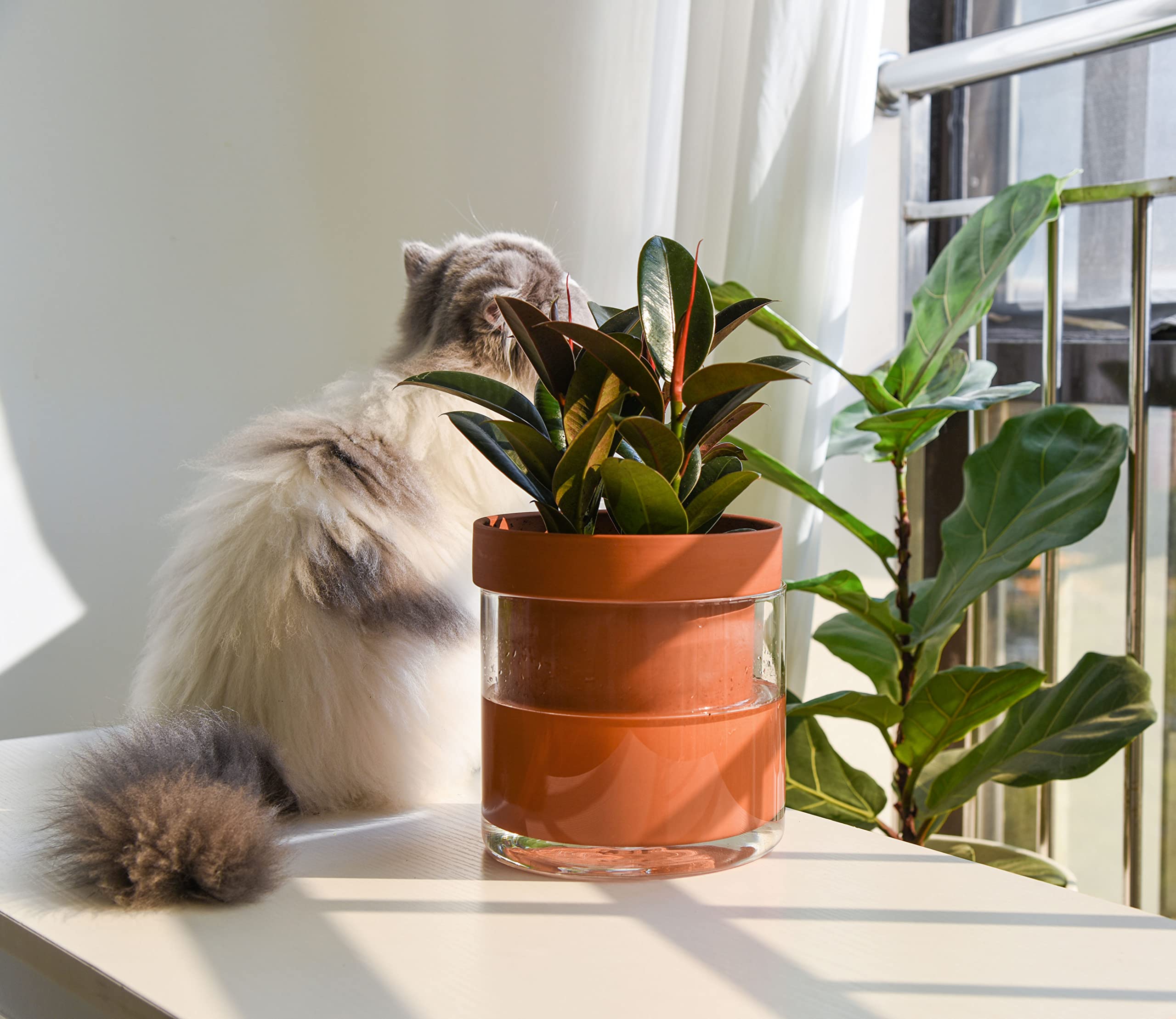 Phoenix Vine 6-Inch self-watering planter pot, side view highlights the glass reservoir and sleek lines.