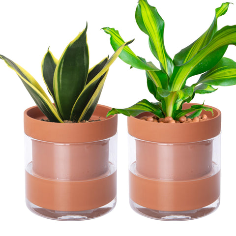 Phoenix Vine 6-Inch self-watering planter pot, top view shows moisture-ready design and compact form.