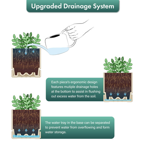 Phoenix Vine 6-inch oatmeal planter interior with deep saucer for bottom watering.