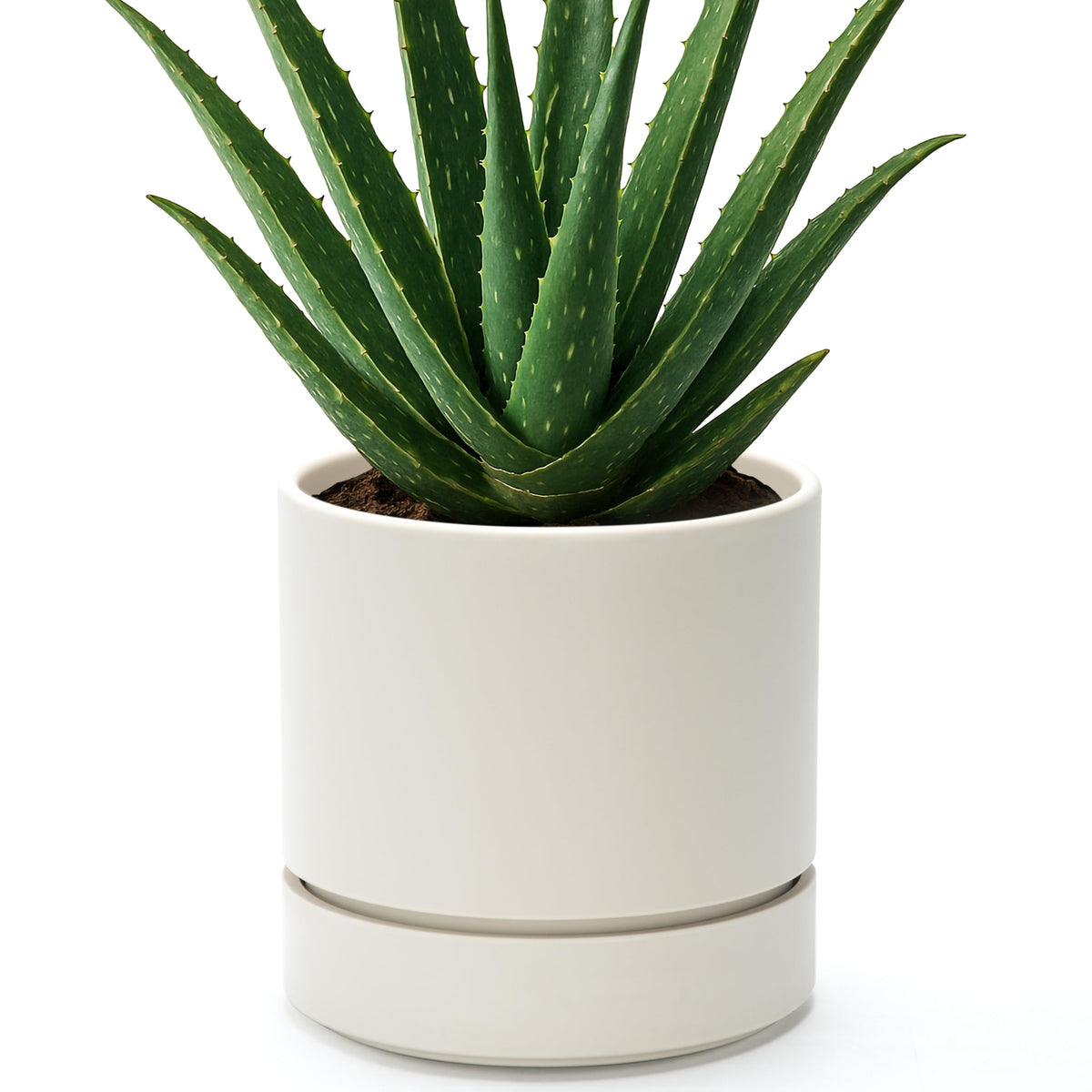Phoenix Vine 6-inch oatmeal planter front view for stylish indoor decor.