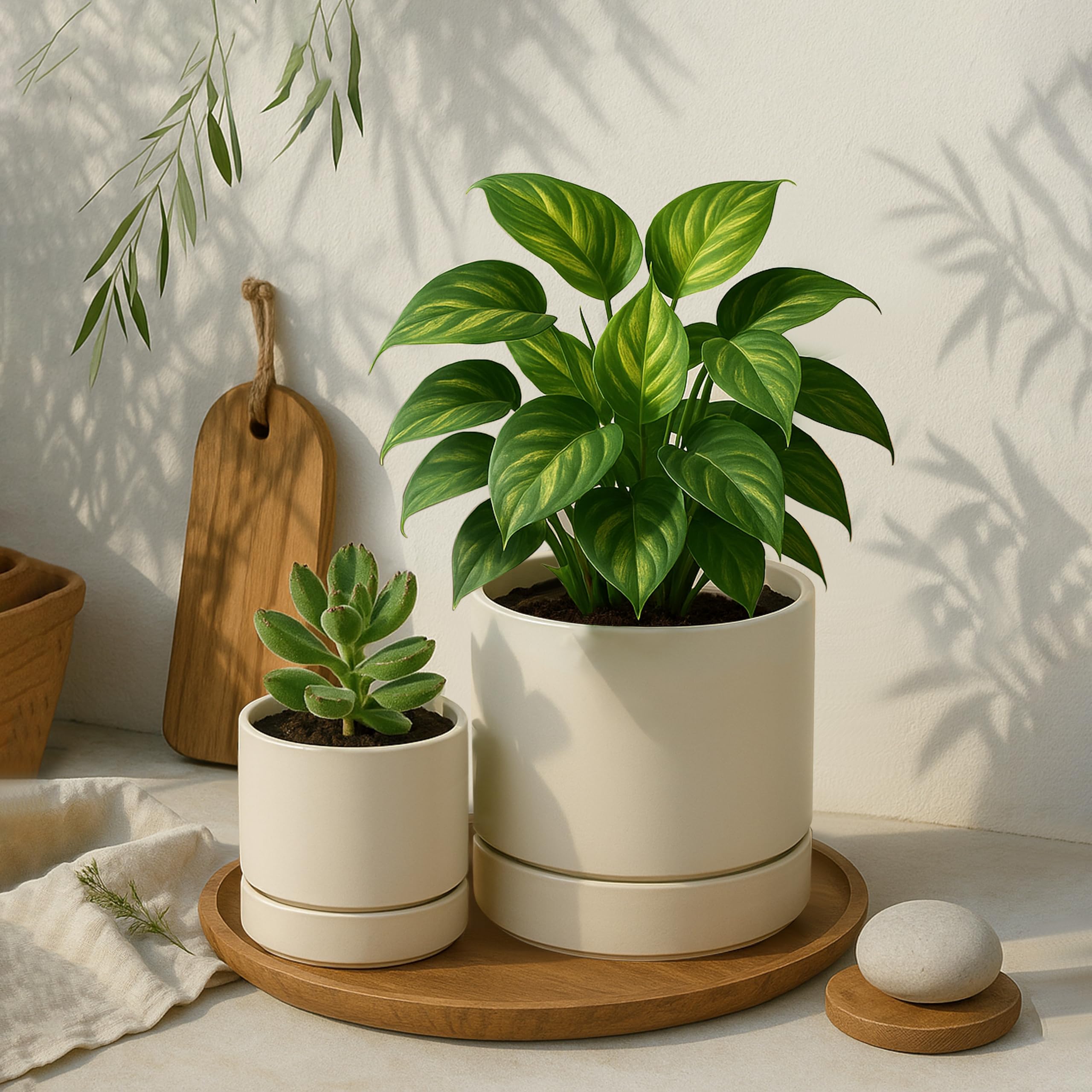 Phoenix Vine 6-inch oatmeal planter packaging for gifting readiness.