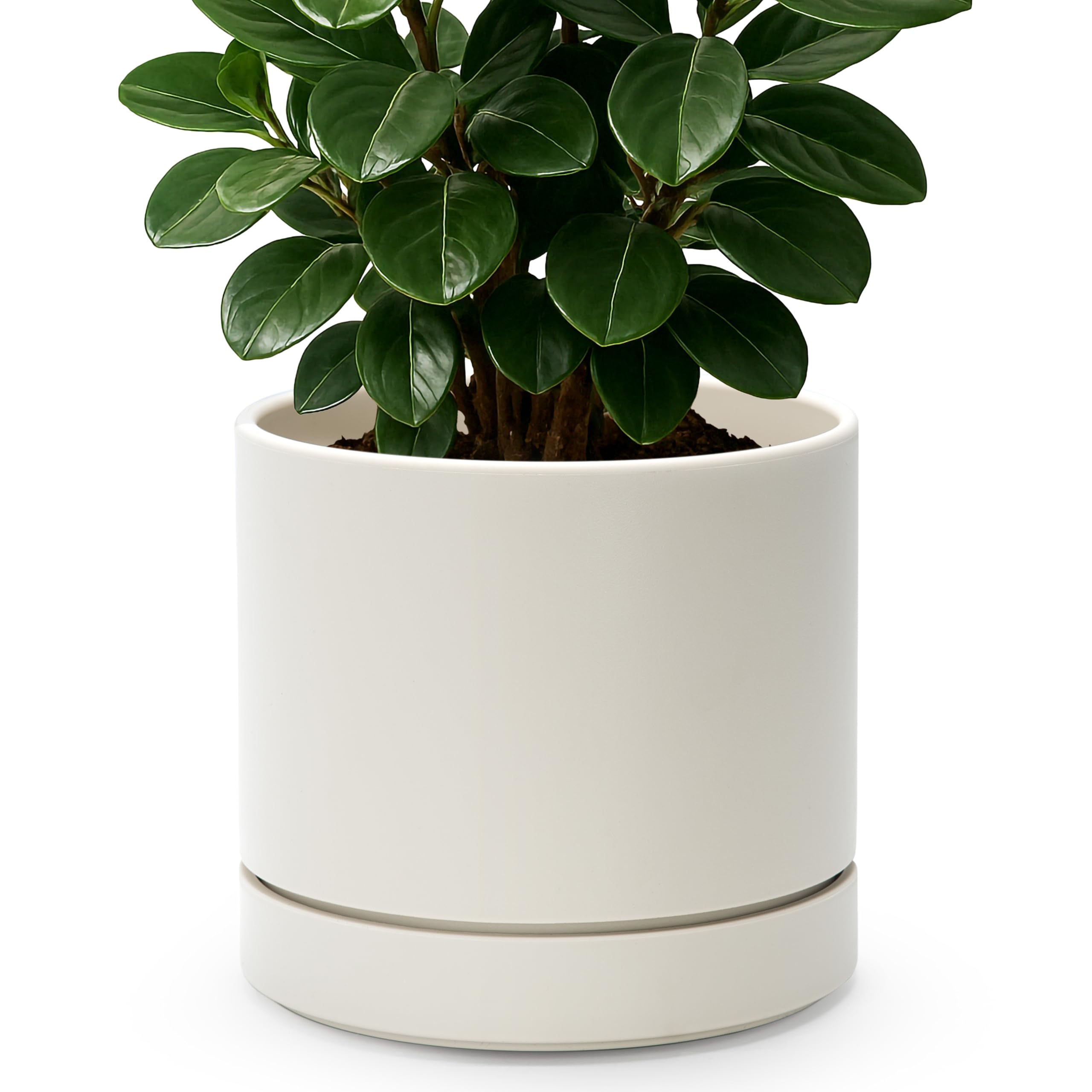 Phoenix Vine 8 inch planter front view complements indoor decor with a durable ceramic-like finish.