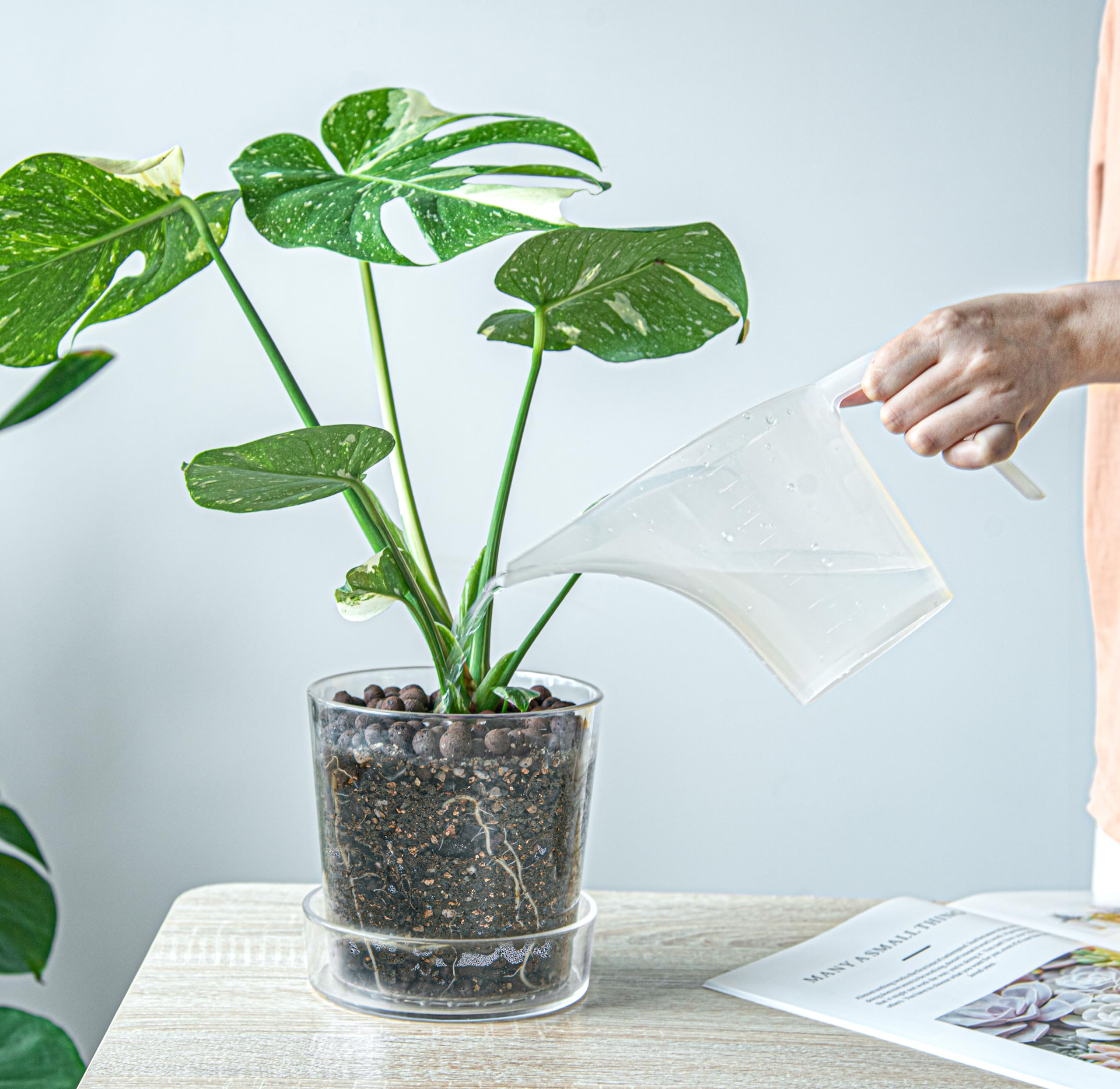 Phoenix Vine bottom-watering capable planter guides gradual watering for healthier roots.