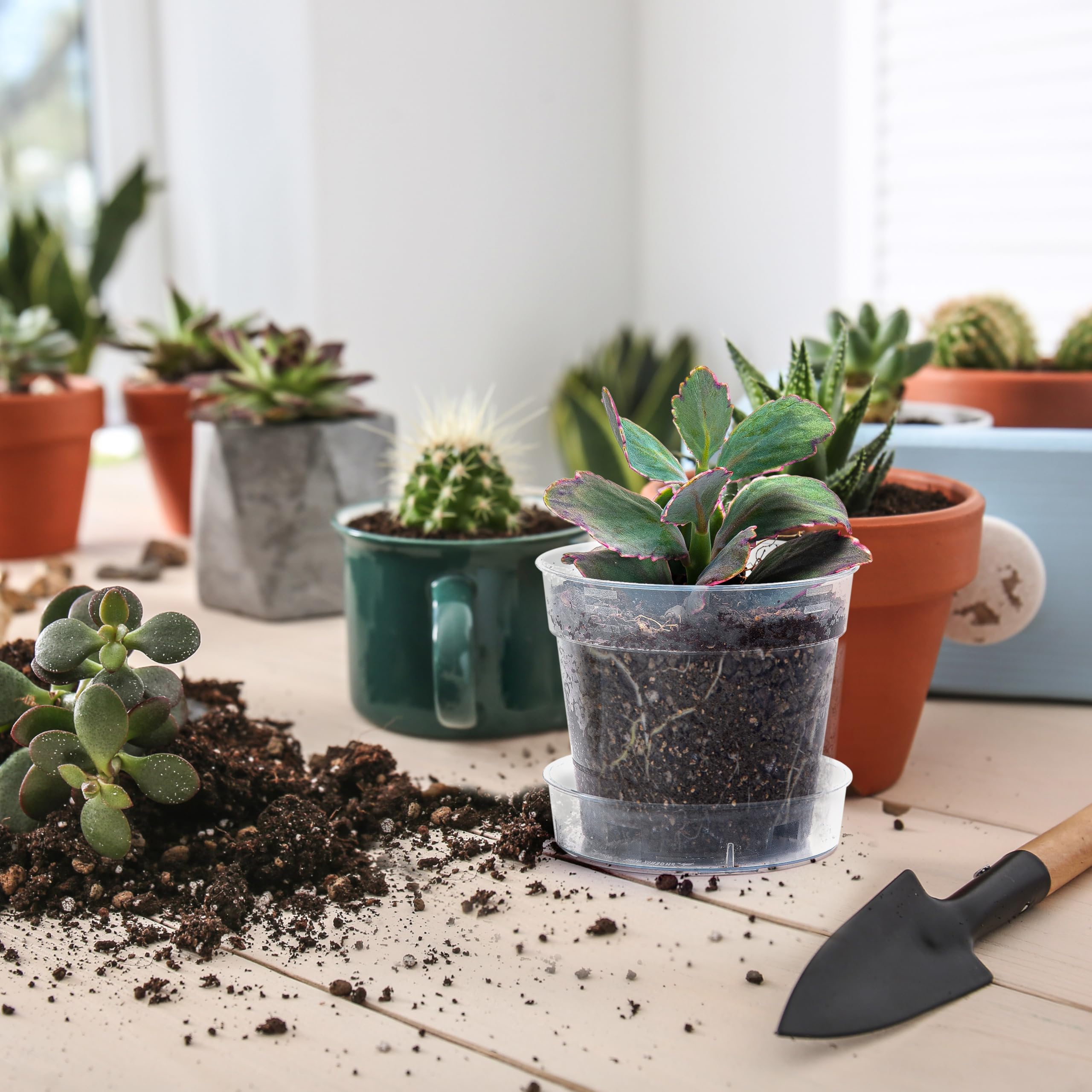 Phoenix Vine BPA-free durable plastic pot for long-lasting use