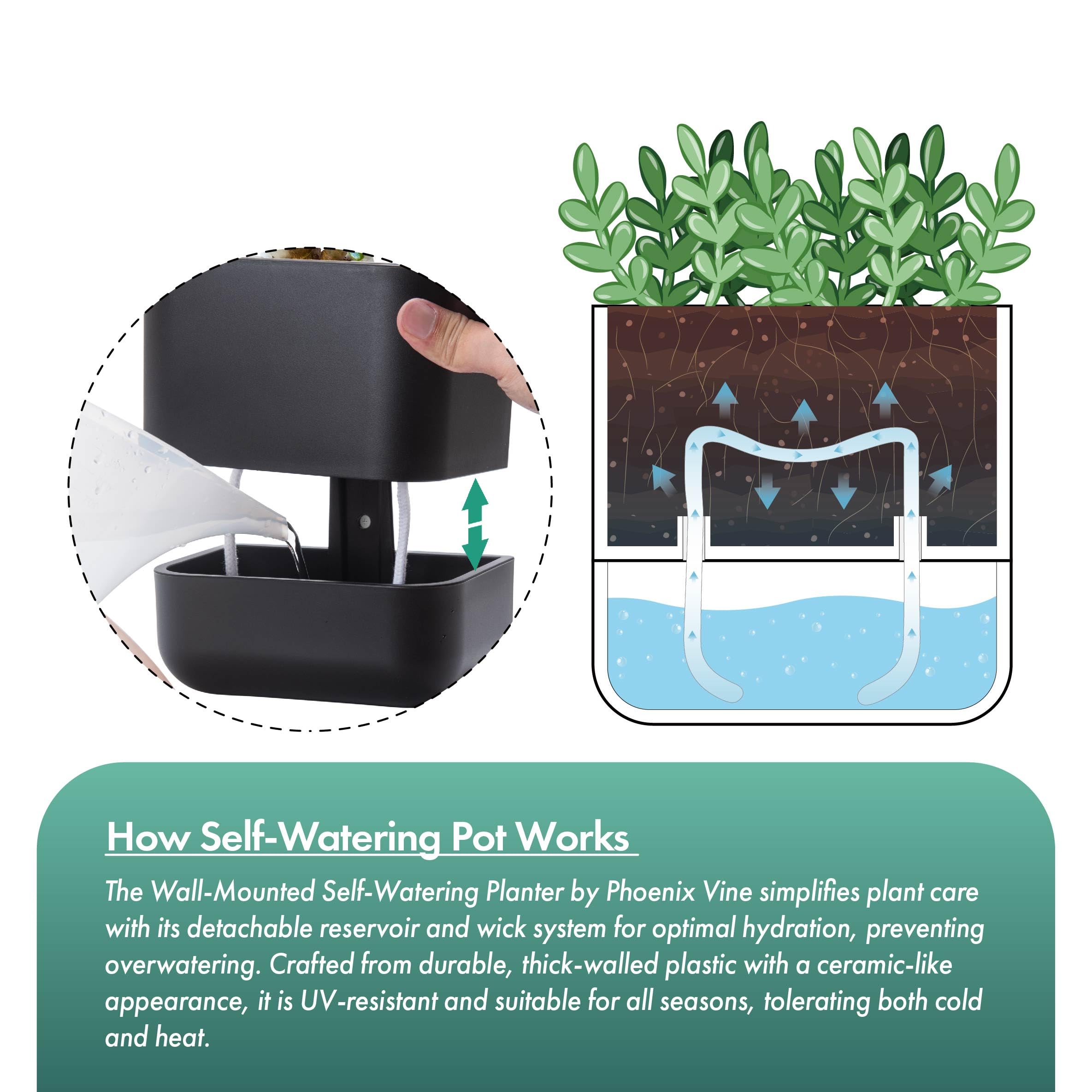 Phoenix Vine planter features a ceramic-like finish for a premium look