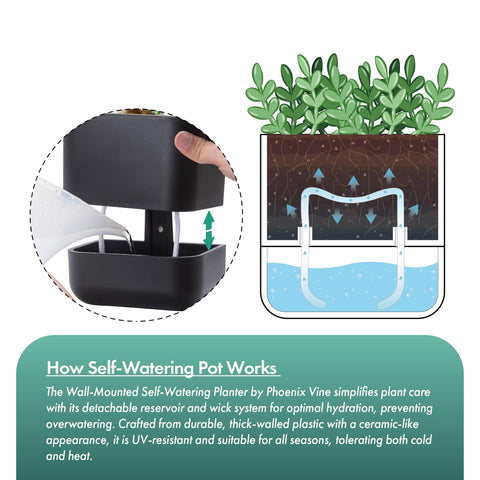 Phoenix Vine planter features a ceramic-like finish for a premium look