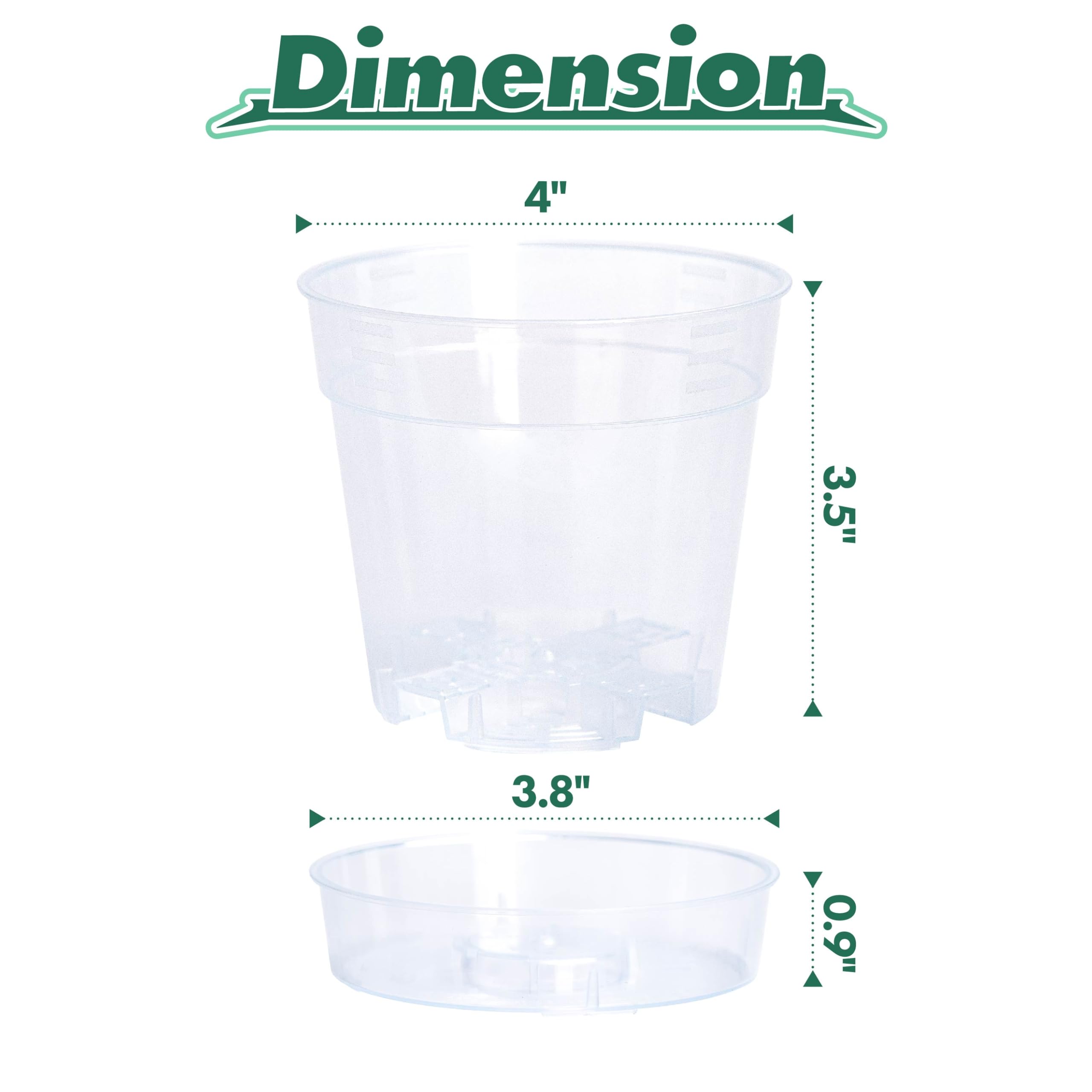 Phoenix Vine clear pot with deep saucer for bottom watering