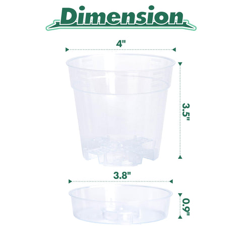 Phoenix Vine clear pot with deep saucer for bottom watering