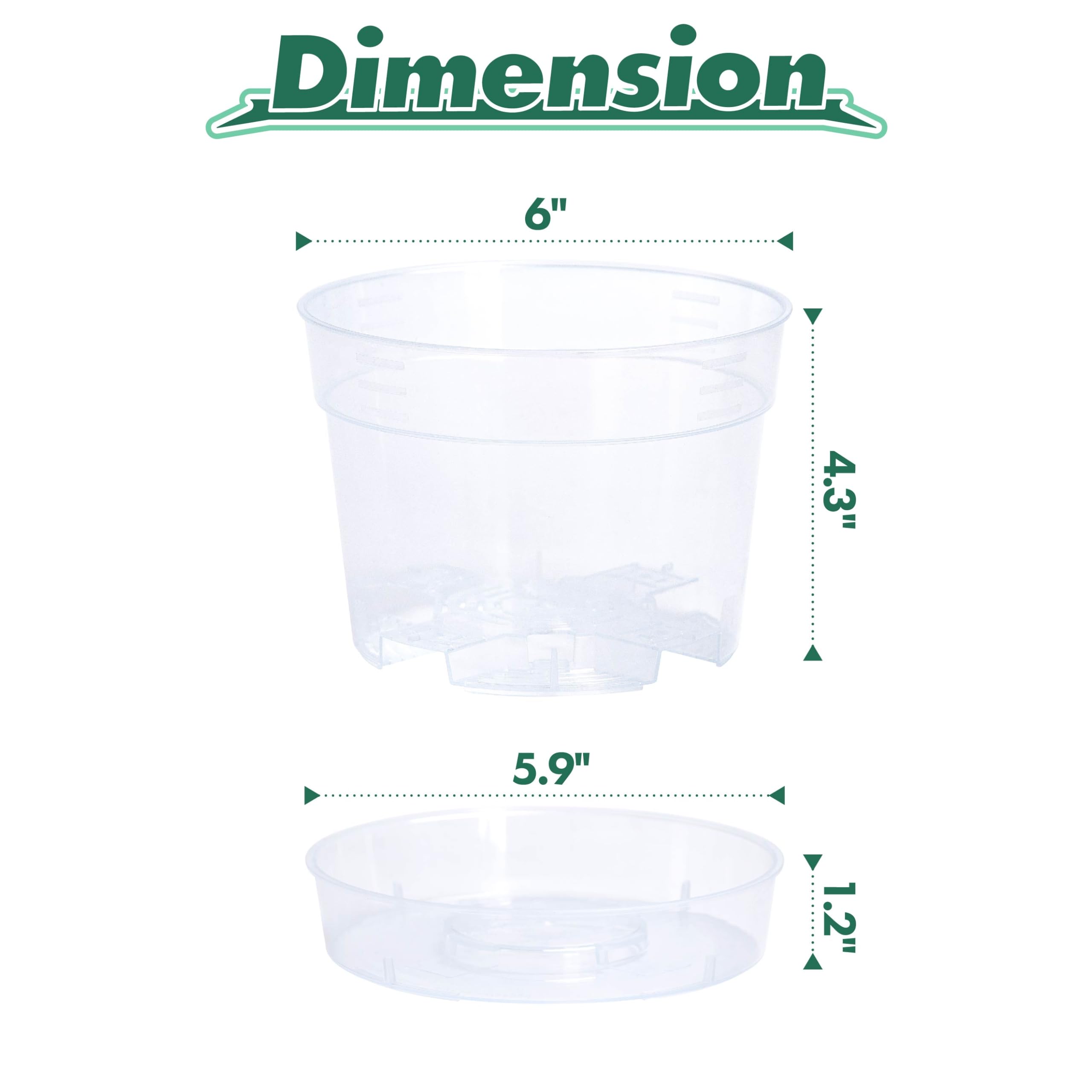 Phoenix Vine deep saucer enables bottom watering while keeping surfaces clean and dry