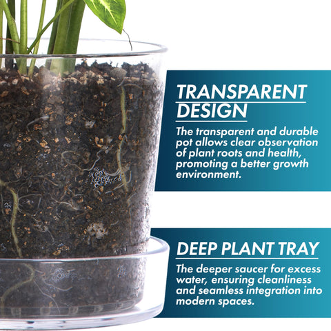 Phoenix Vine deep-saucer planter supports bottom watering and water management