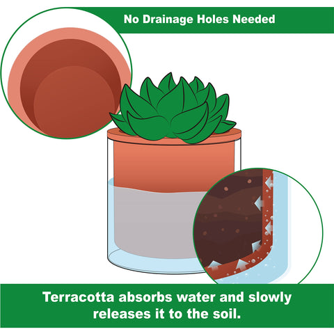 Phoenix Vine 7-inch outer diameter terracotta planter for stylish indoor use.