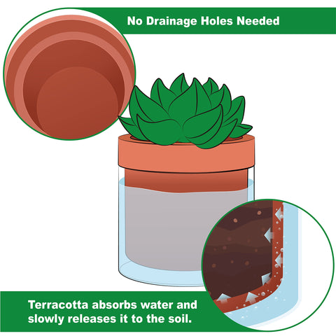 Phoenix Vine glass reservoir enables simple refills without daily care.