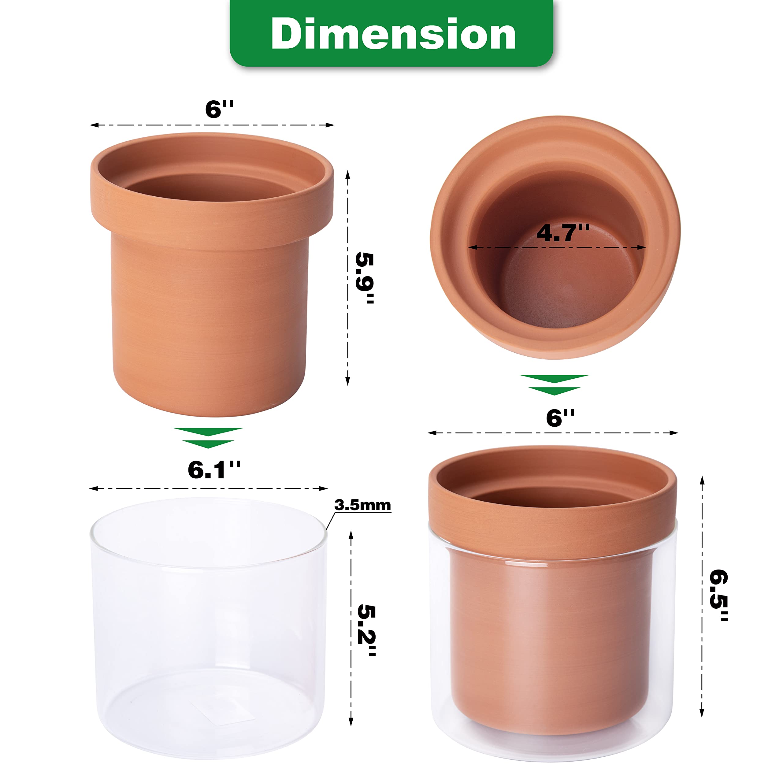 Phoenix Vine glass reservoir visible for easy monitoring and refills.