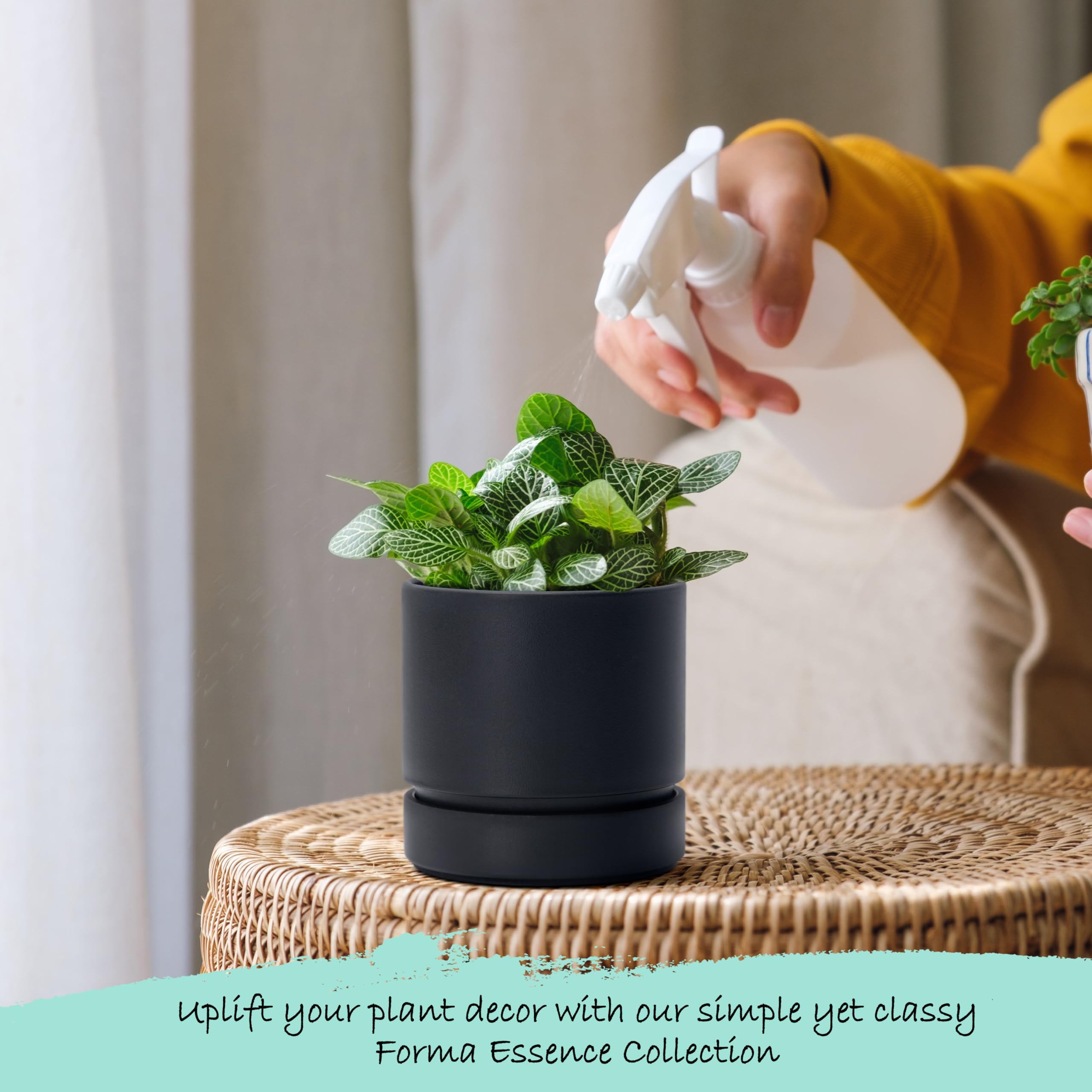 Phoenix Vine indoor windowsill planter blends with natural light and greenery.
