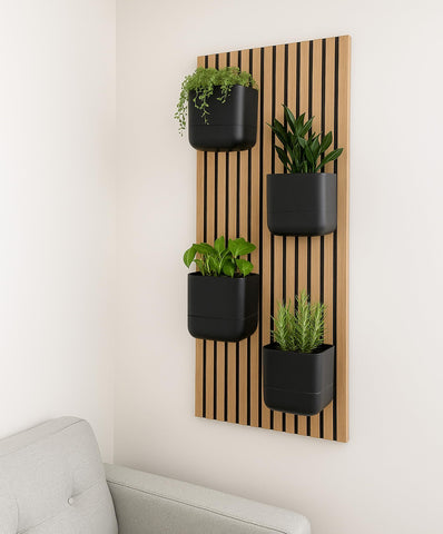 Phoenix Vine matte black finish complements modern decor