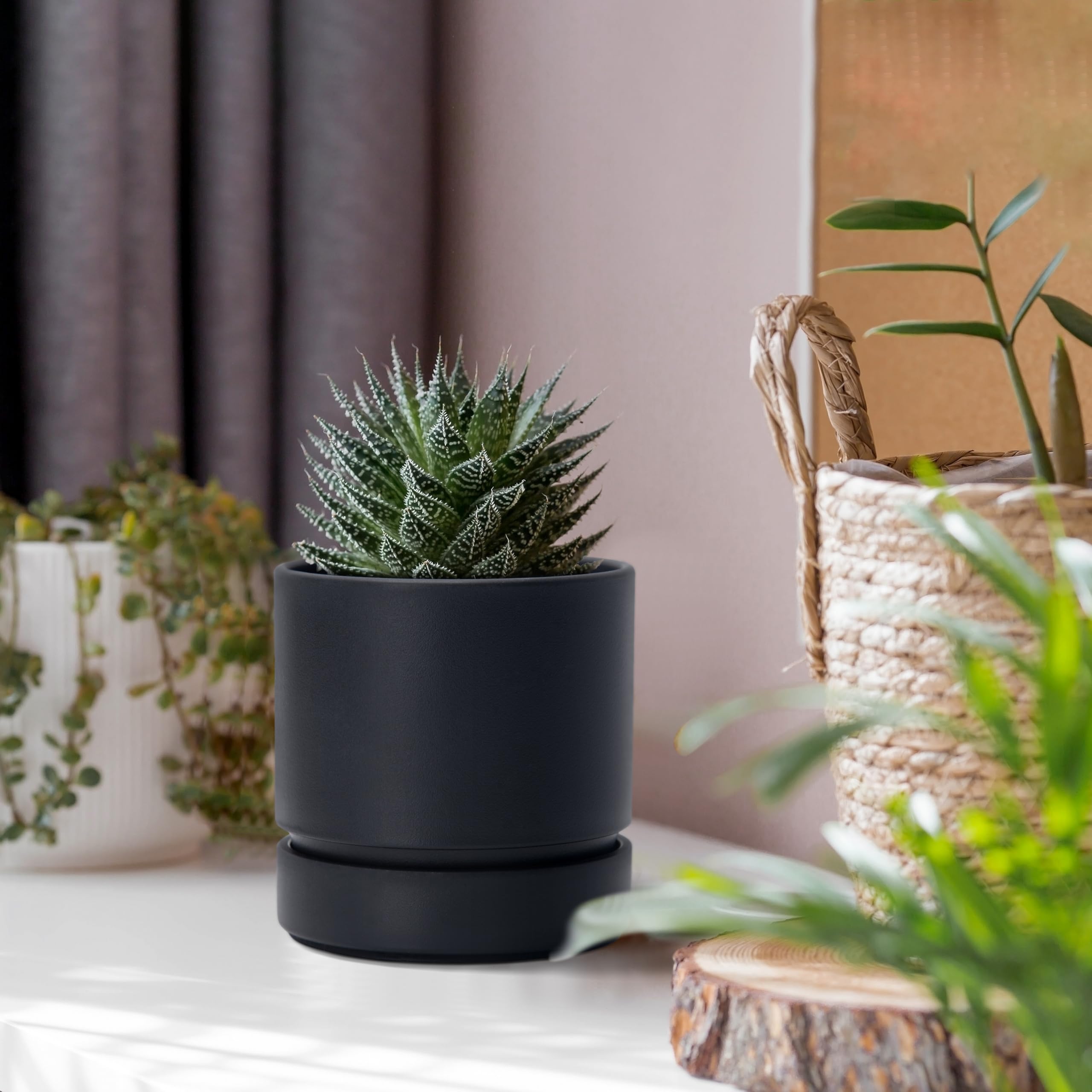 Phoenix Vine matte black planter adds modern style to desks, shelves, and living spaces.