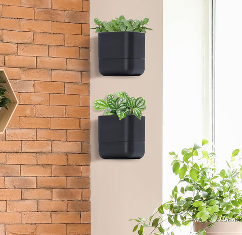 Phoenix Vine matte white finish suits bright interiors