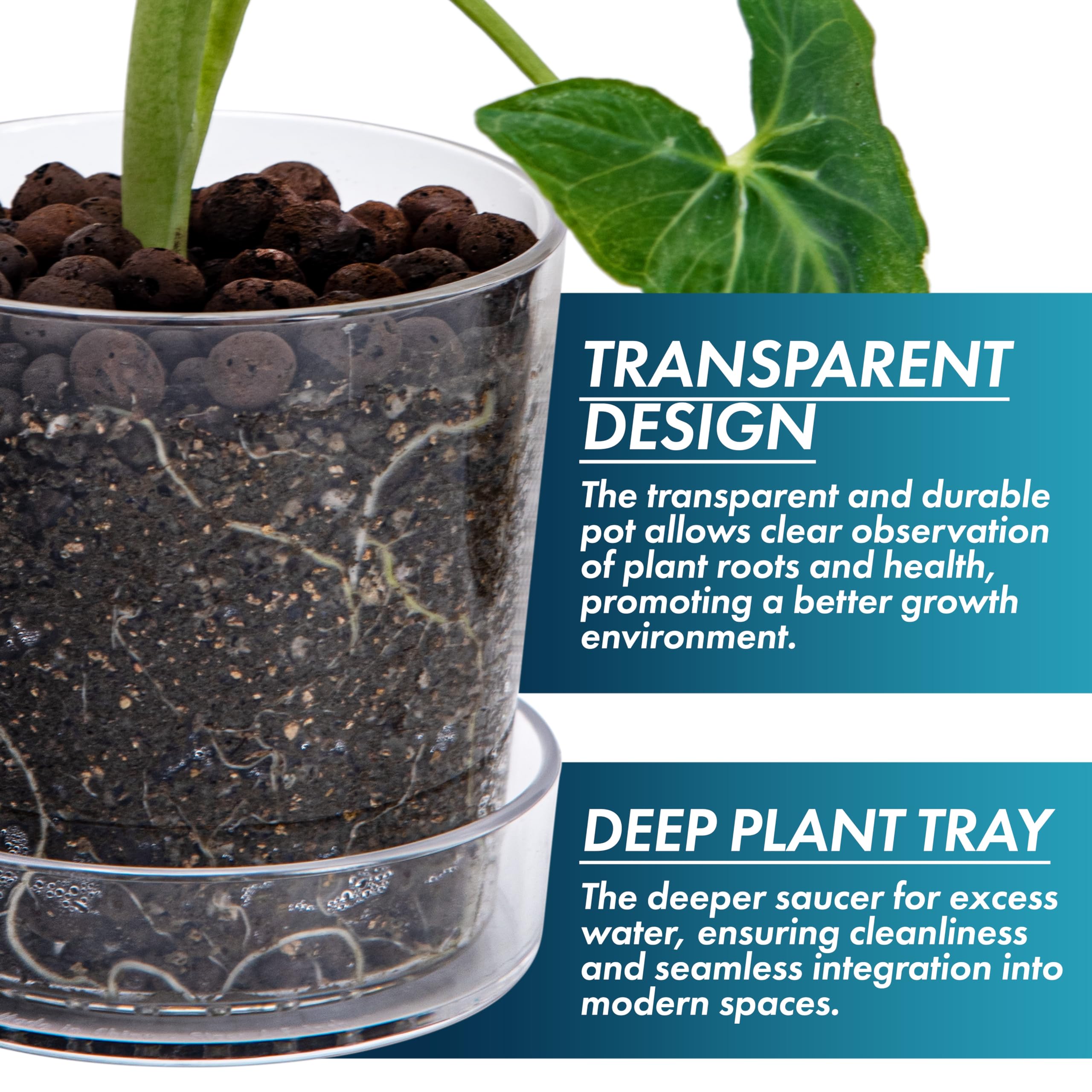 Phoenix Vine orchid planter 4.5 inches suitable for compact orchid setups.