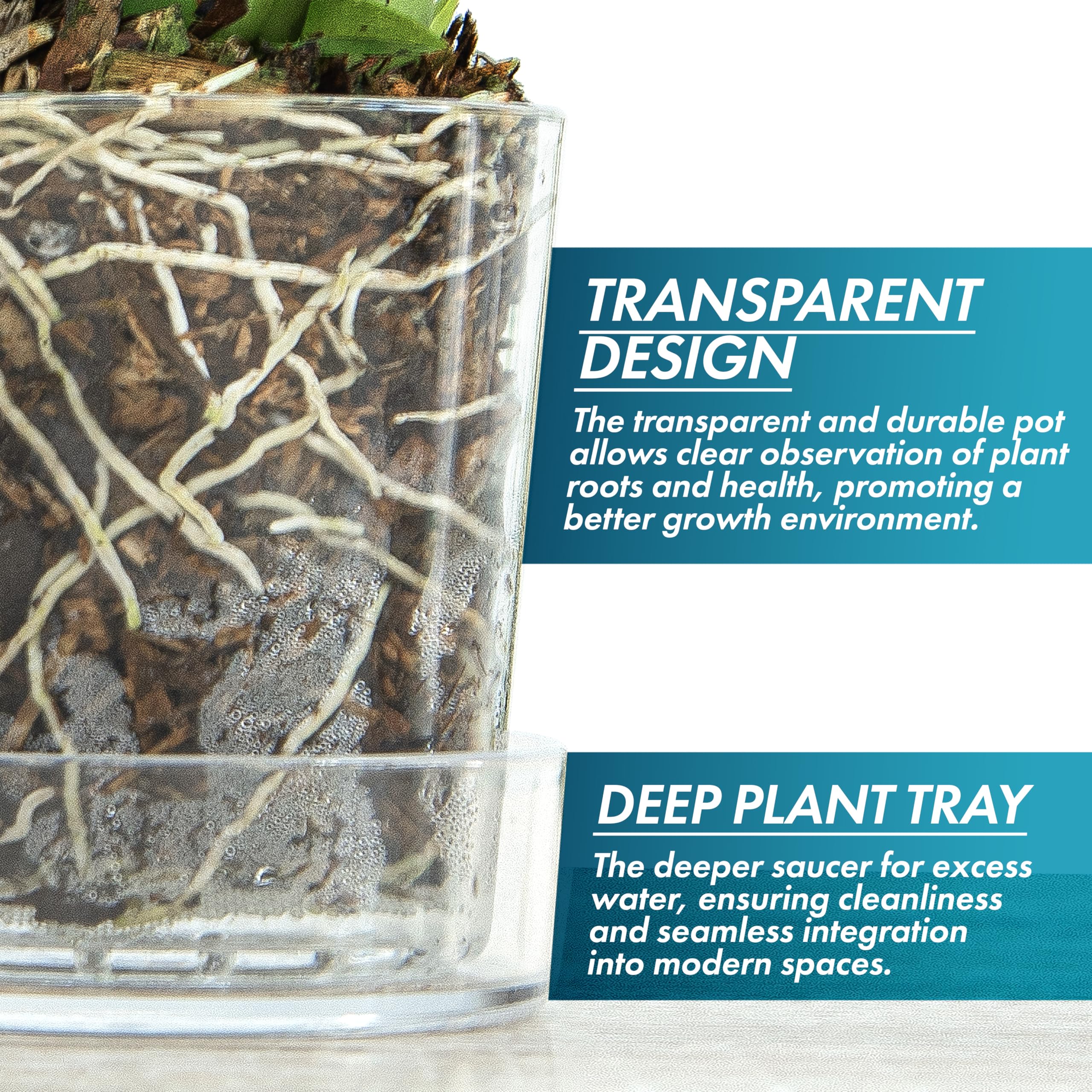 Phoenix Vine orchid pot in transparent acrylic suits orchid displays.