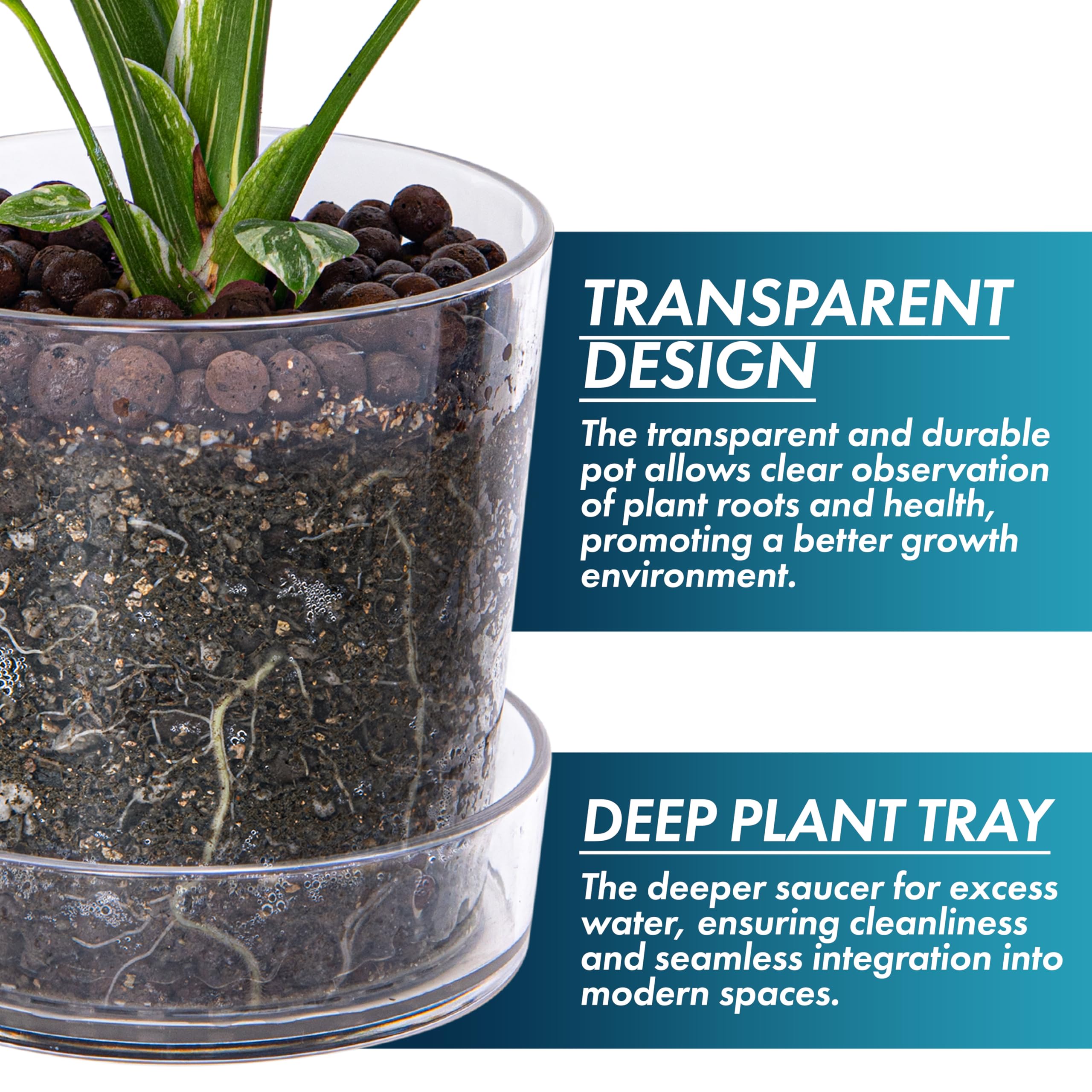 Phoenix Vine planter with drainage holes prevents overwatering and stabilizes care.