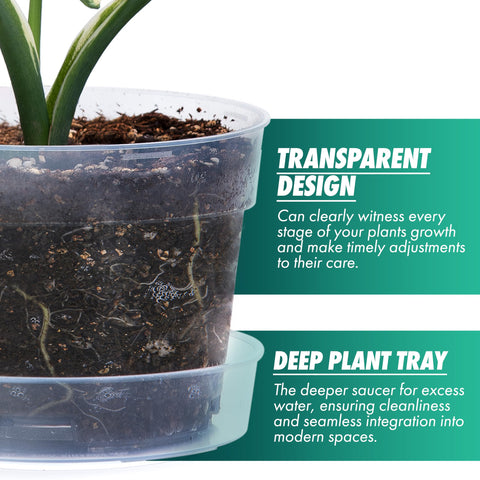 Phoenix Vine raised-base design promotes better airflow around roots for healthier growth