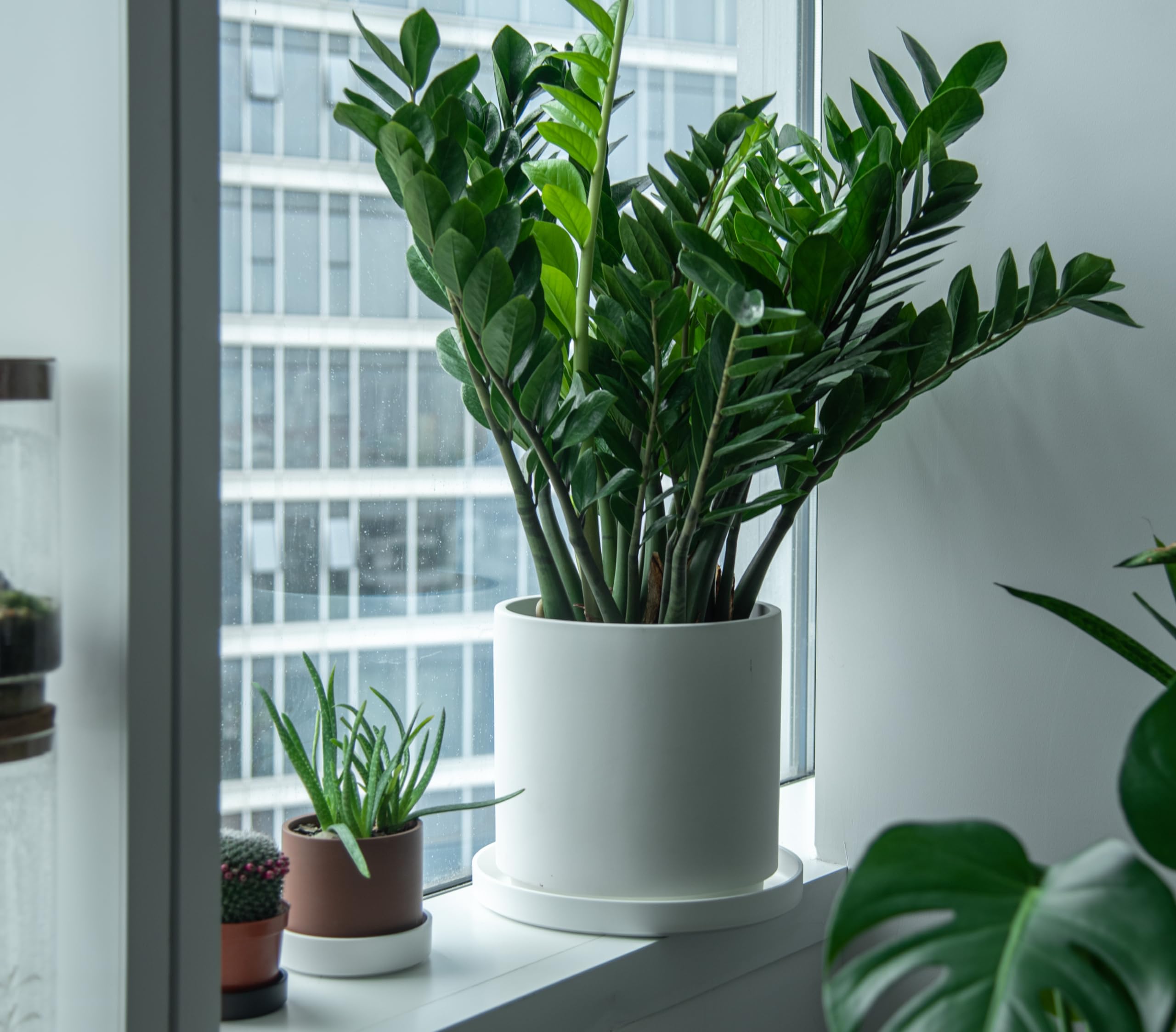 Phoenix Vine durable lightweight plastic withstands weather while simplifying maintenance.