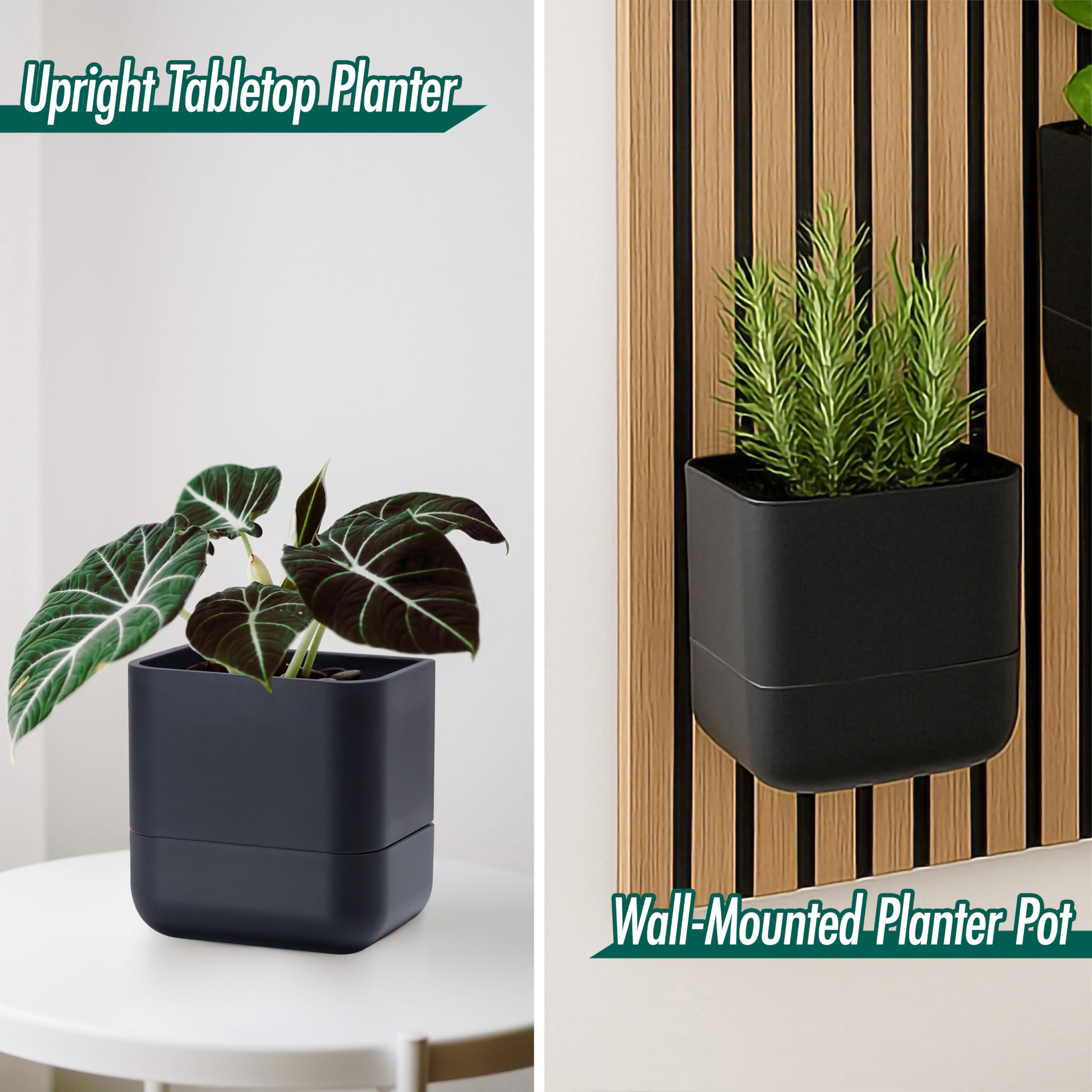 Phoenix Vine self-watering wick system shown with detachable reservoir