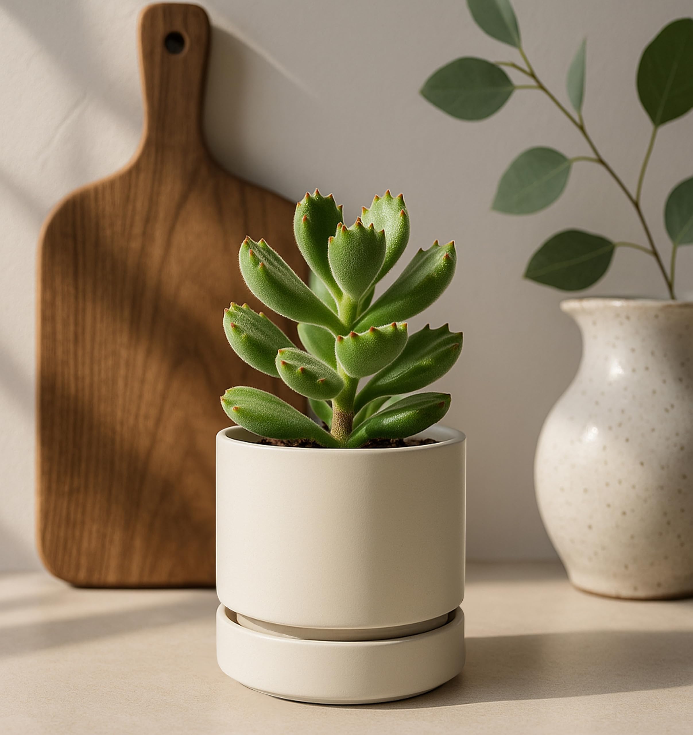 Phoenix Vine planter with sleek, modern design for contemporary interiors.