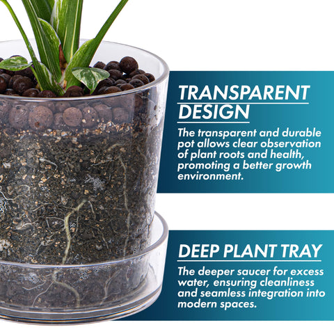 Phoenix Vine transparent window-sill planter on a bright ledge enhances plant display and sunlight access.