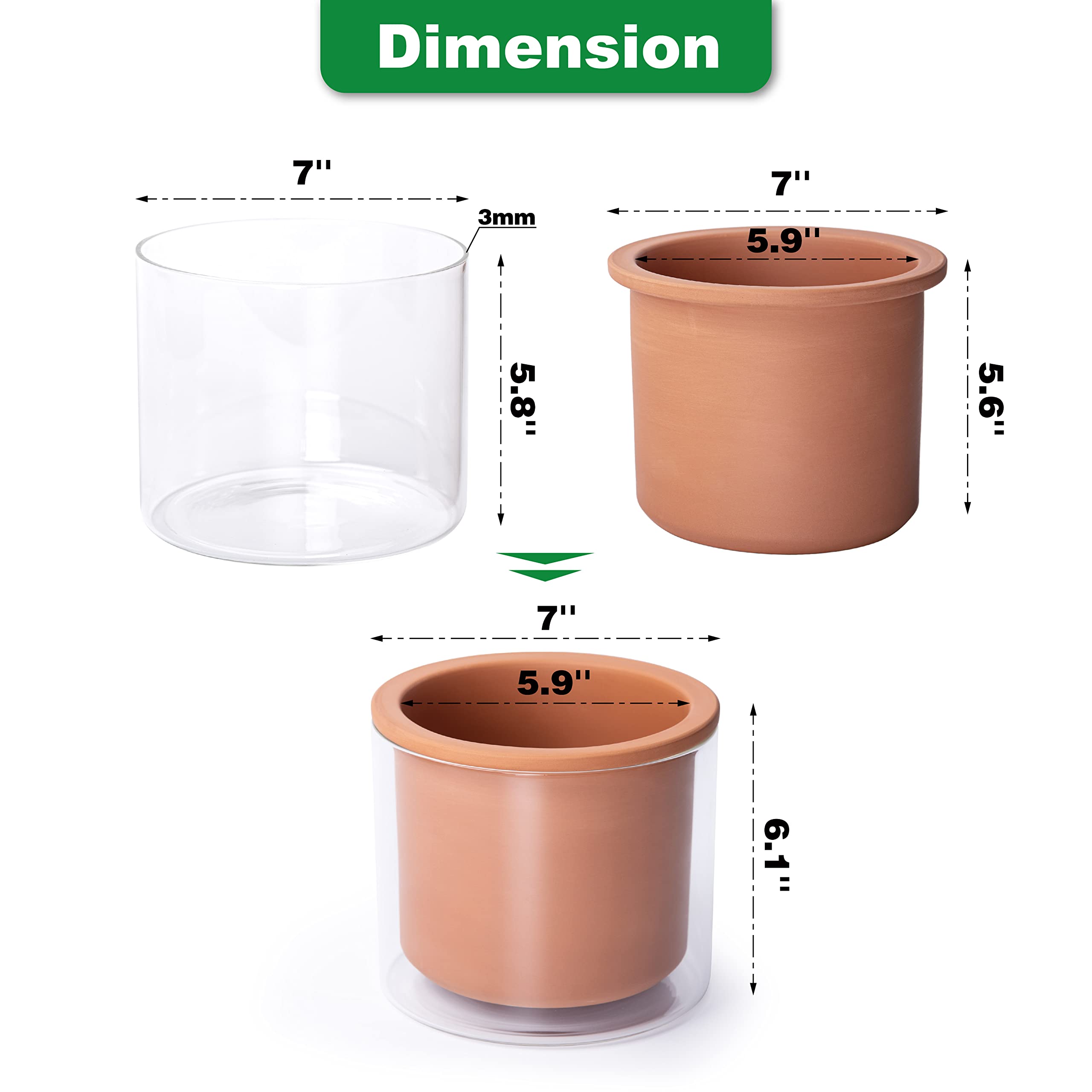 Phoenix Vine travel-friendly design supports plants while you are away.