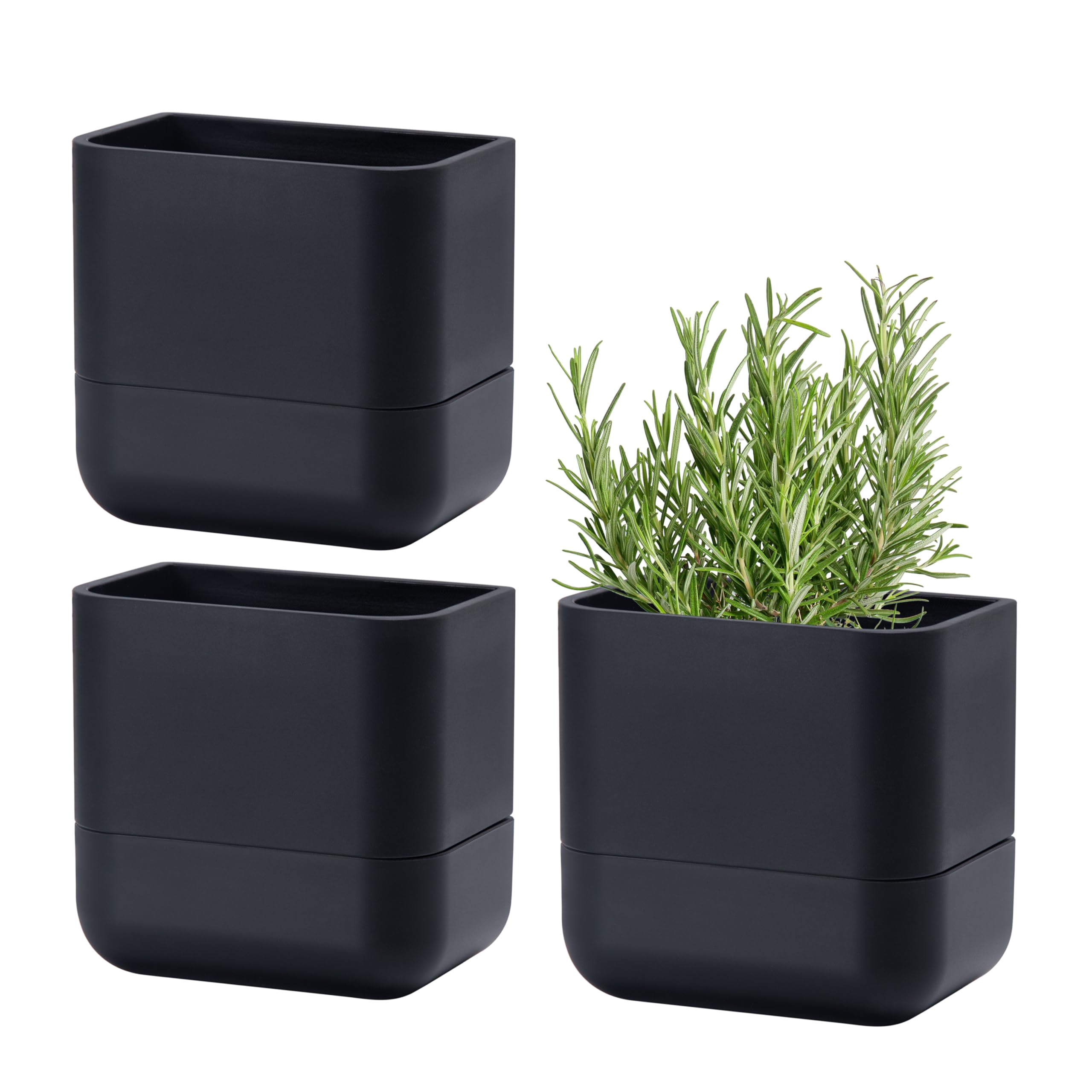Phoenix Vine wall planter 6.5-inch with self-watering design for space-saving greenery