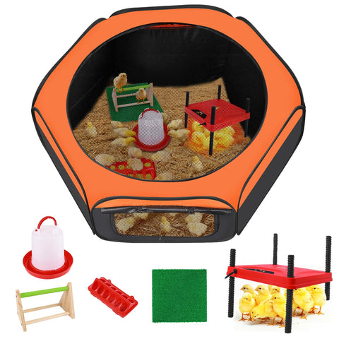 Phoncoo Brooder Box setup shows a ready-to-use chick habitat for healthy early days