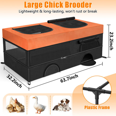 Phoncoo chick brooder with spacious dual zones for feeding and resting