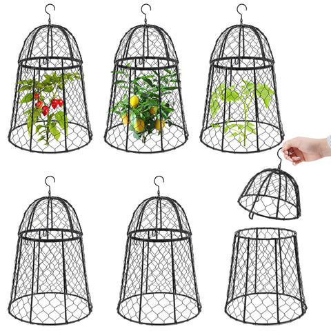 Phoncoo garden cloche 6-pack protecting seedlings from pests while letting sun and rain through.
