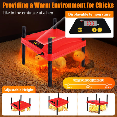 Phoncoo heating plate adjustment highlights customizable warmth for hatchlings