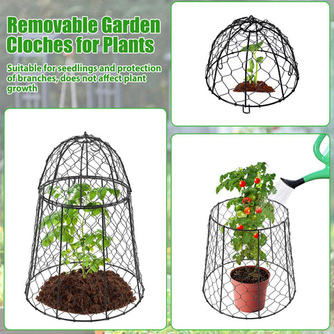 Phoncoo protective cage on flowers keeps blooms safe while sun and rain reach the soil.